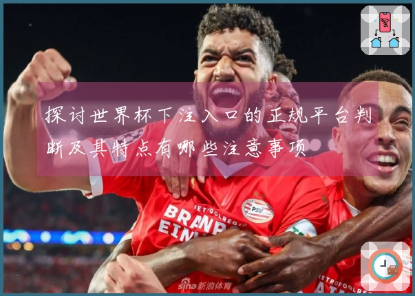 探讨世界杯下注入口的正规平台判断及其特点有哪些注意事项