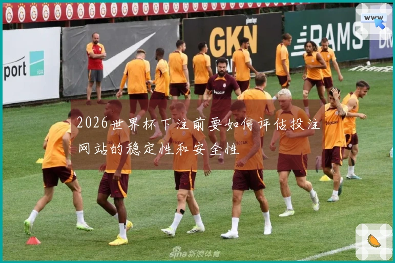 2026世界杯下注前要如何评估投注网站的稳定性和安全性